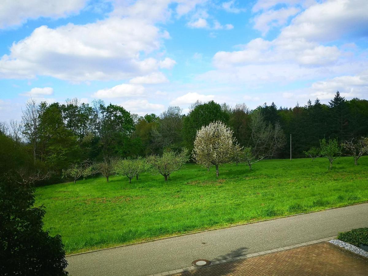 Ein Appartement Und Ein Komfortzimmer In Malsch, Zwischen Karlsruhe, Rastatt Und Baden-Baden Malsch  Kültér fotó